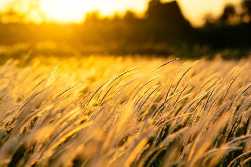 Meteorologia: Previsão do tempo para este domingo, 8 de março