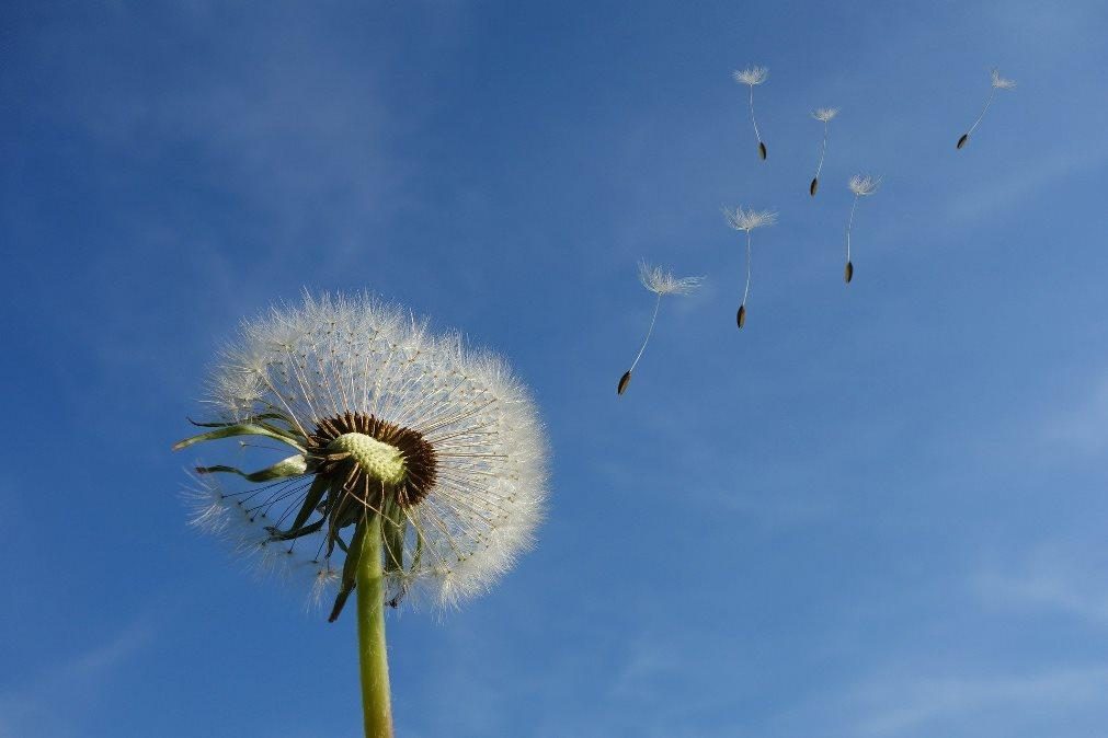 Meteorologia: Previsão do tempo para esta segunda-feira, 9 de março