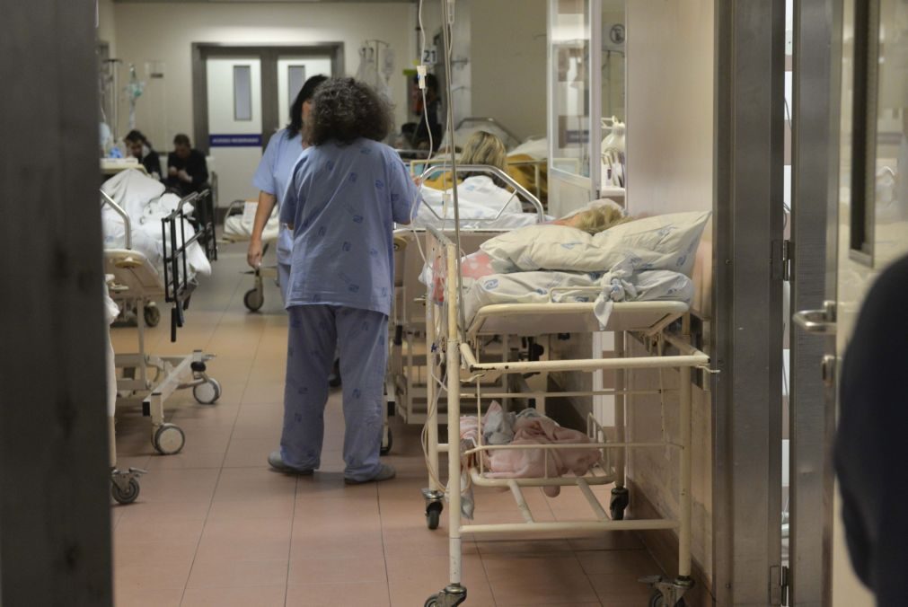 Covid-19: Ordem apela aos enfermeiros para reforçar cuidados intensivos
