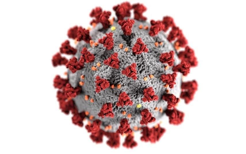 Coronavírus Sabe como se prevenir? Este teste vai pô-lo à prova