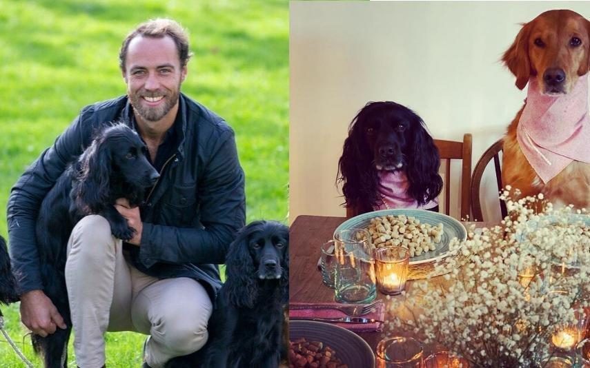 James Middleton Com direito a pratos, velas e flores. É assim que os cães da realeza jantam