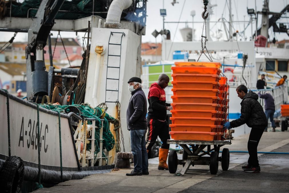 Covid-19: Governo aprova linha de crédito para setor da pesca e aquicultura