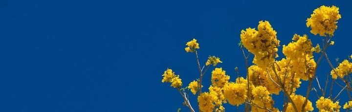 Meteorologia: Previsão do tempo para sexta-feira, 3 de abril