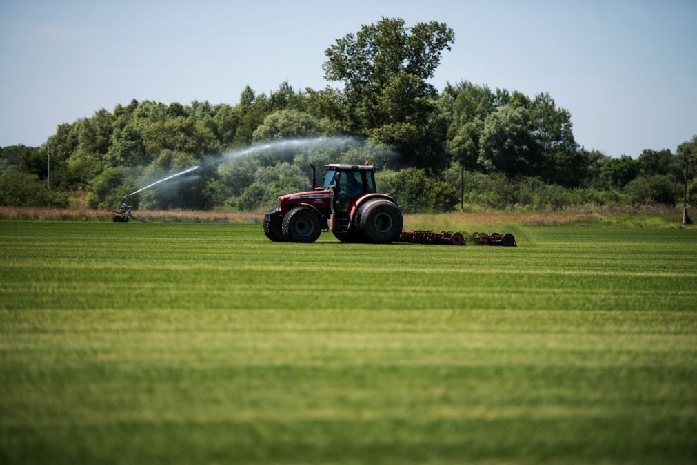 Acidentes com tratores agrícolas fazem um morto e um ferido grave