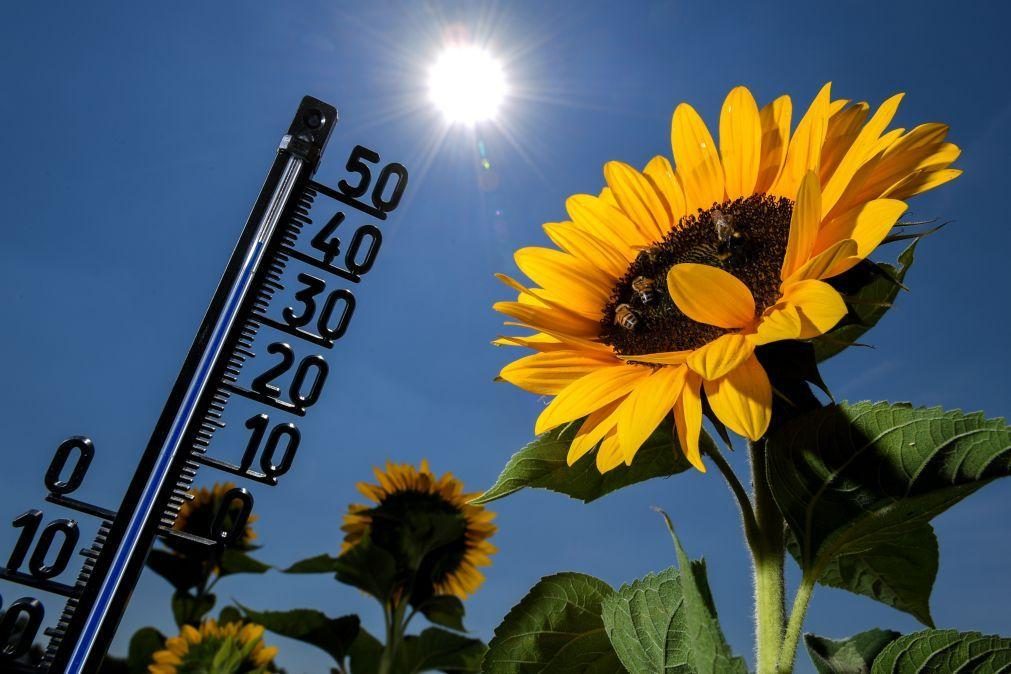 Temperaturas de março entre as mais altas desde que há registo para o mês