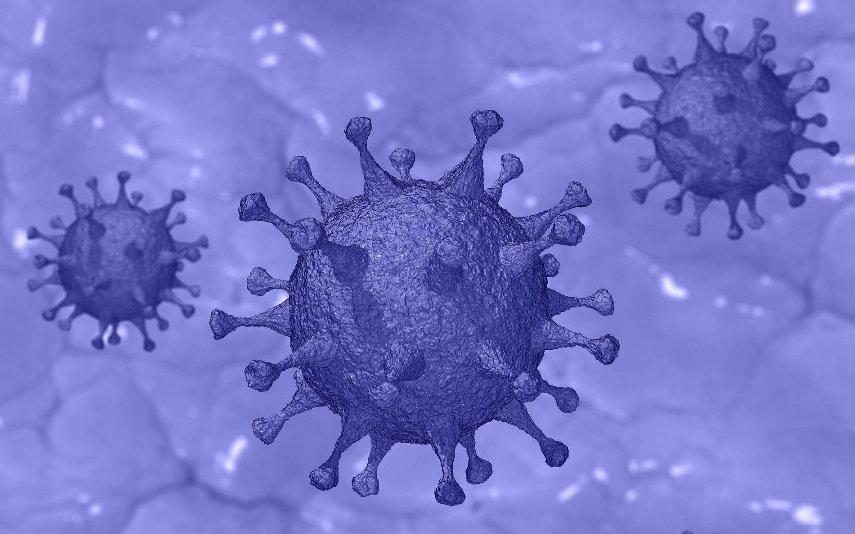 covid-19 Pico da pandemia em Portugal já foi atingido, revela estudo norte-americano