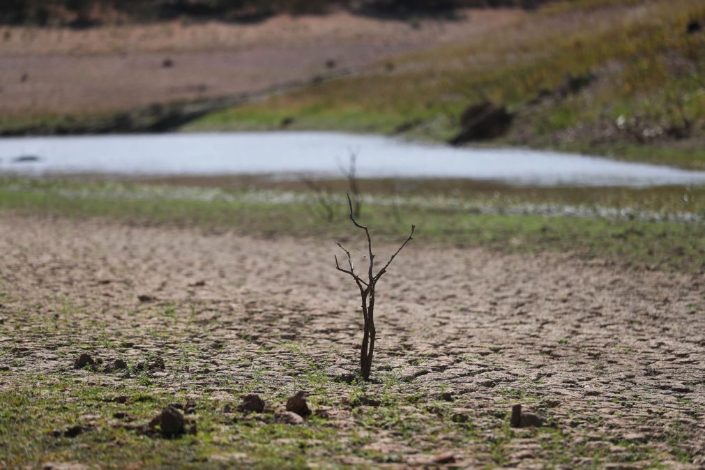 Seca extrema deixa de existir nas regiões do Alentejo e do Algarve