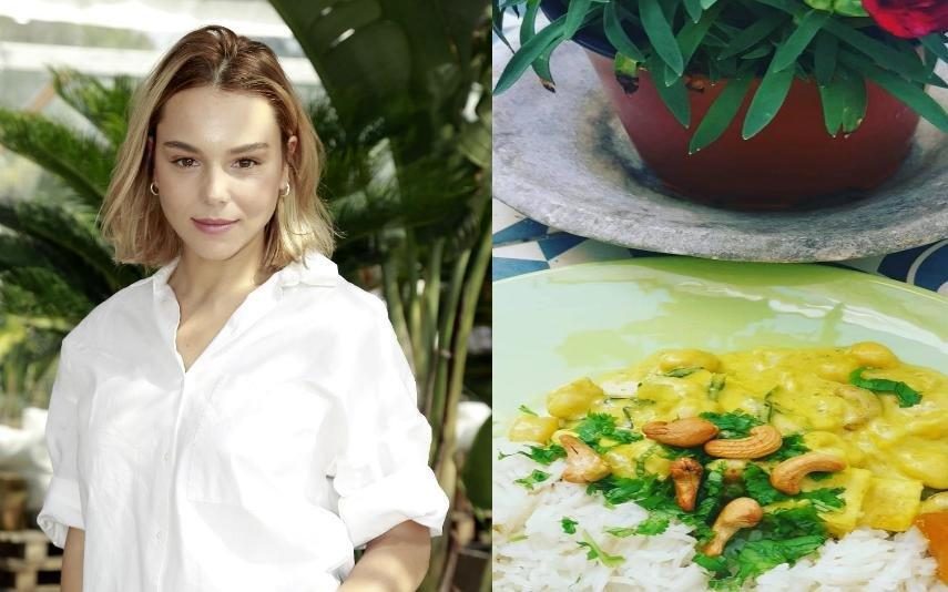 Filipa Areosa Caril de legumes: A receita saudável da atriz