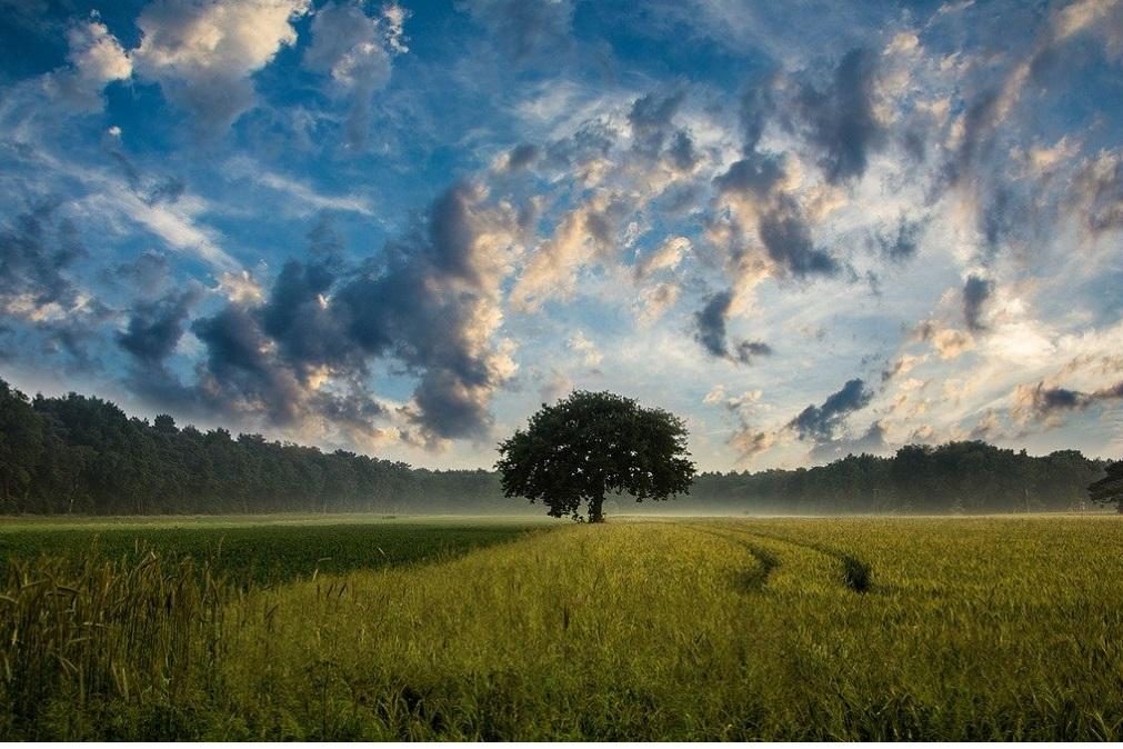 Meteorologia: Previsão do tempo para quinta-feira, 23 de abril