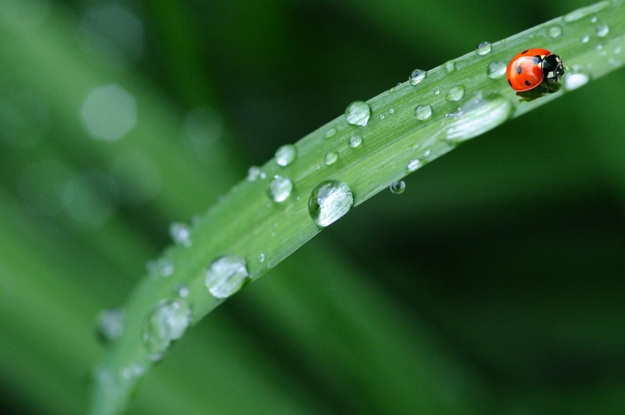 Meteorologia: Previsão do tempo para domingo, 26 de abril