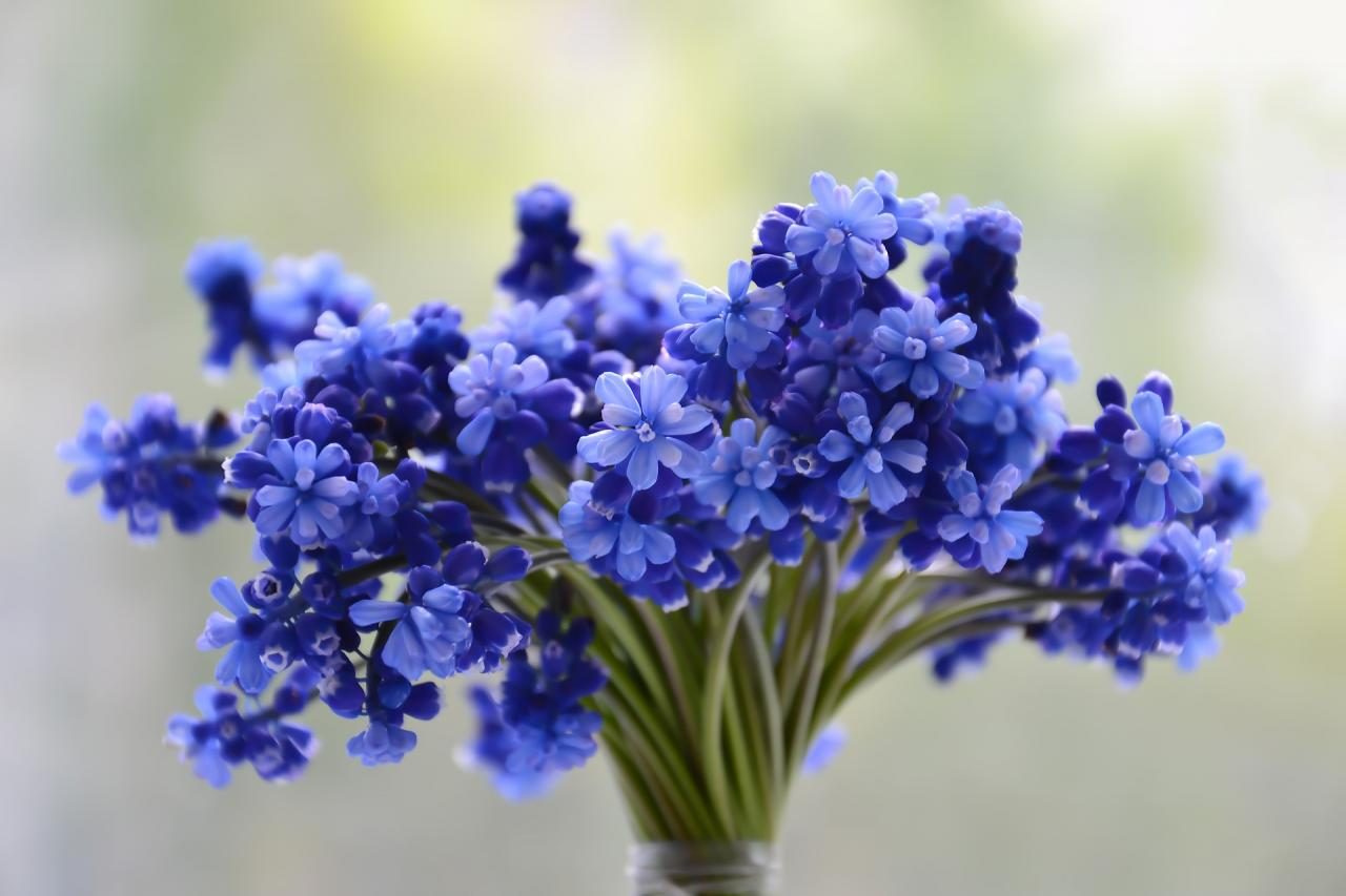 Descobre traição do marido depois de receber flores por engano