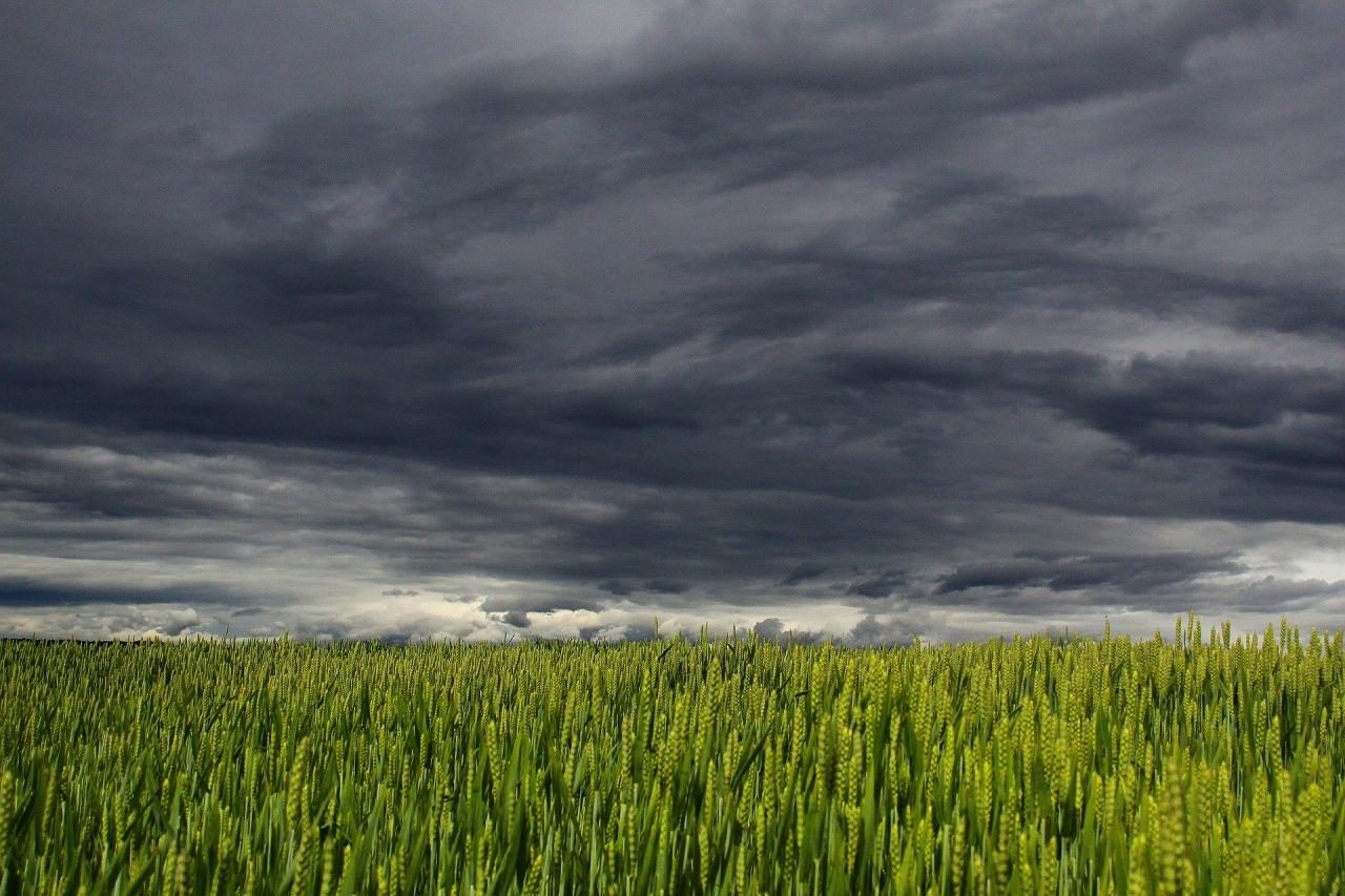 Meteorologia: Previsão do tempo para quarta-feira, 13 de maio