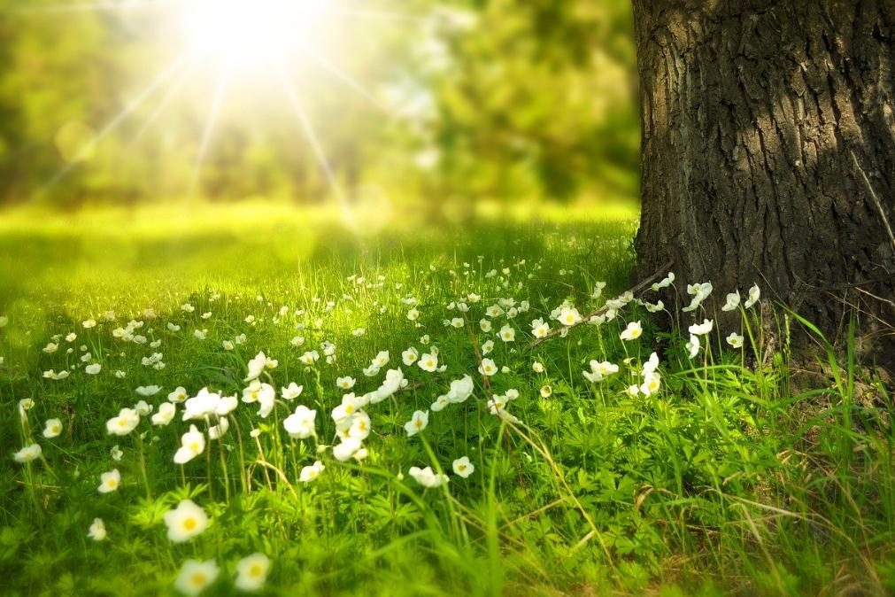 Meteorologia: Previsão do tempo para segunda-feira, 18 de maio