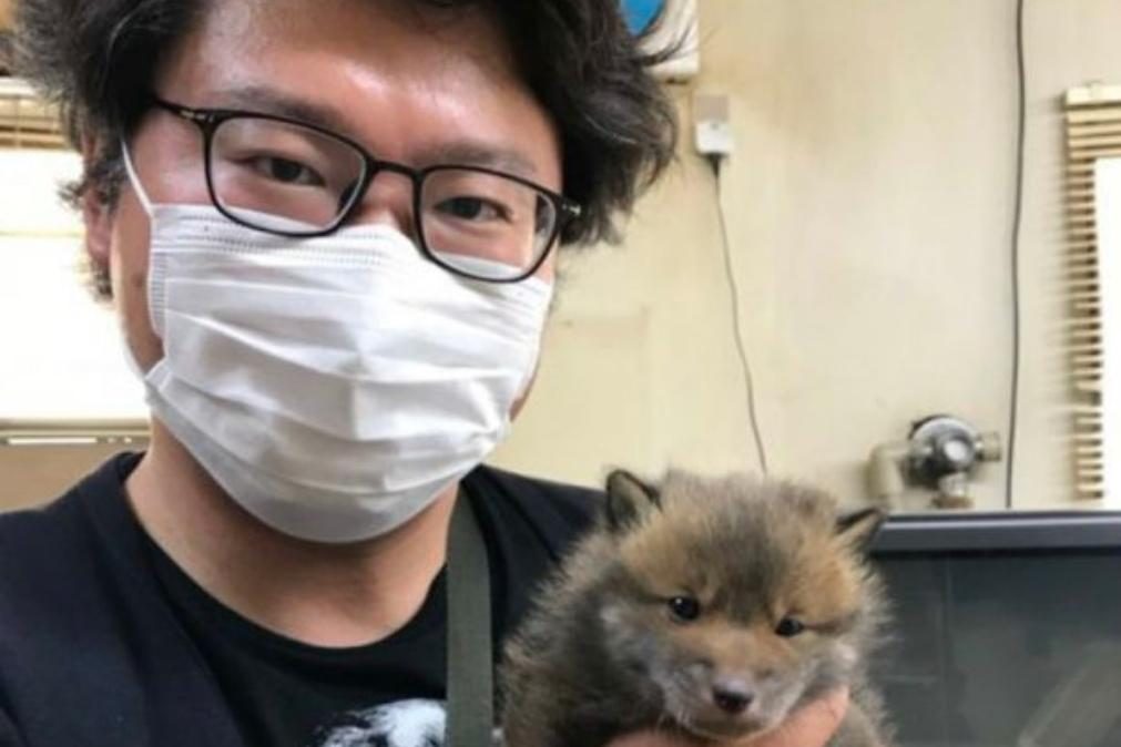 Japonês resgata cachorro mas depressa percebe que afinal o cão não era um cão