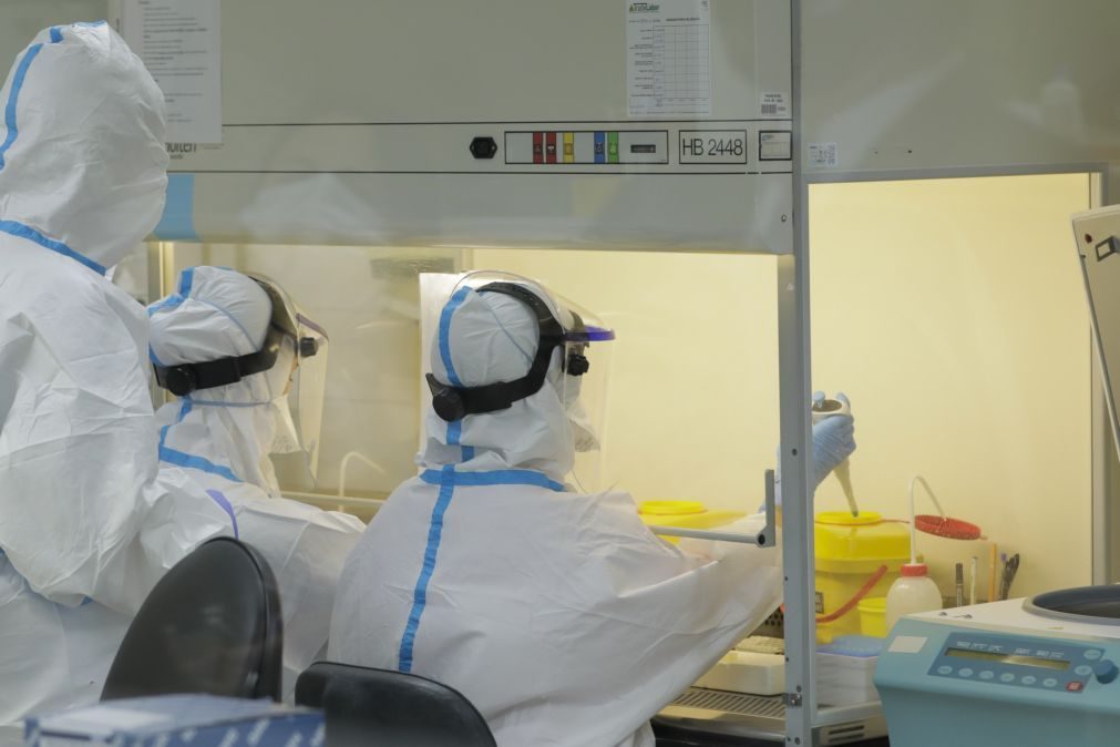 Português testou eficácia de nova vacina contra malária com bons resultados