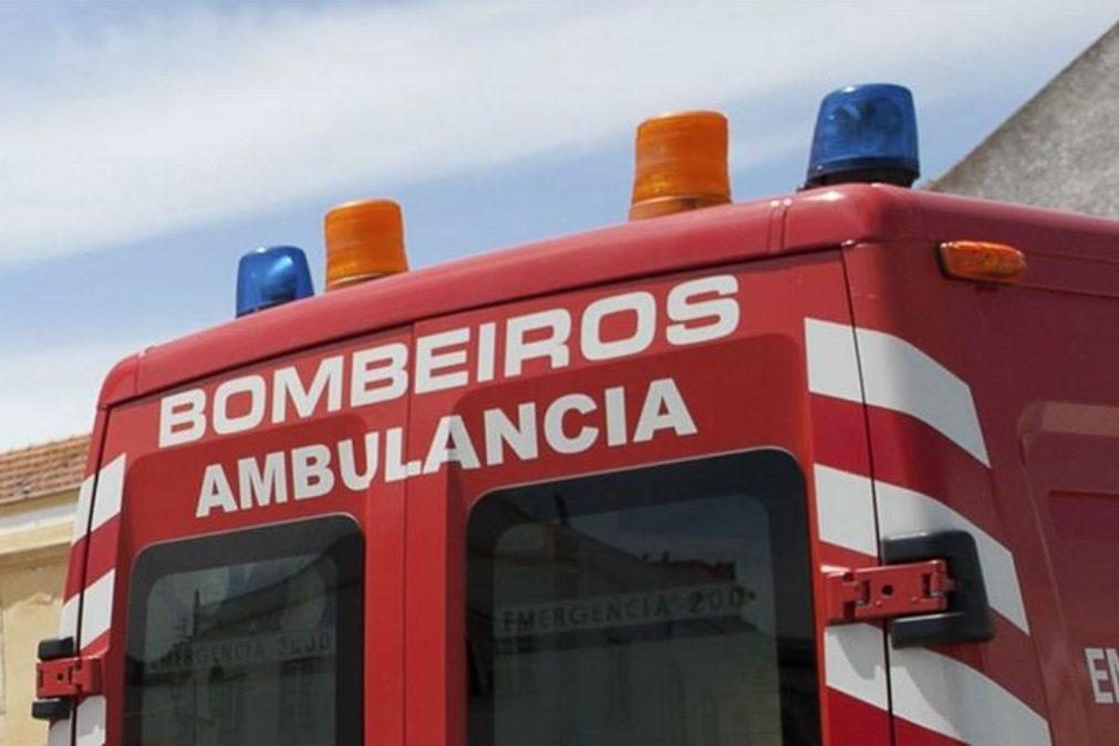 Menina de 8 anos morre após sair de autocarro e esperar por socorro na berma da estrada