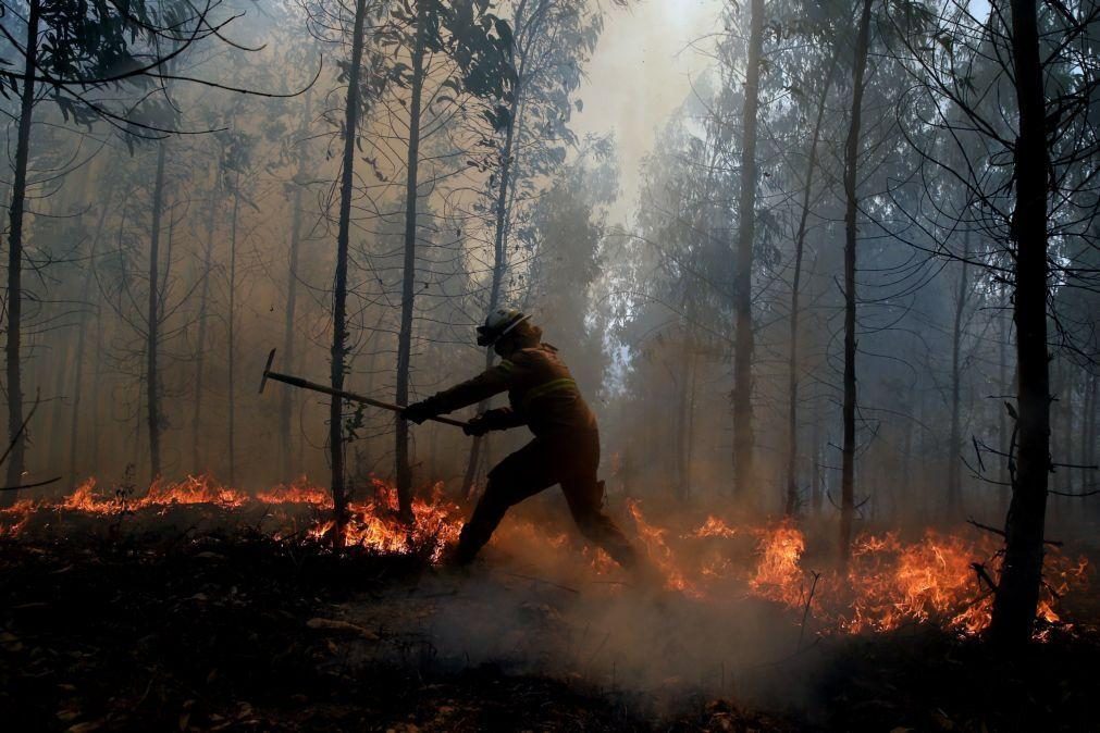 Catorze concelhos de Portugal continental em risco muito elevado de incêndio