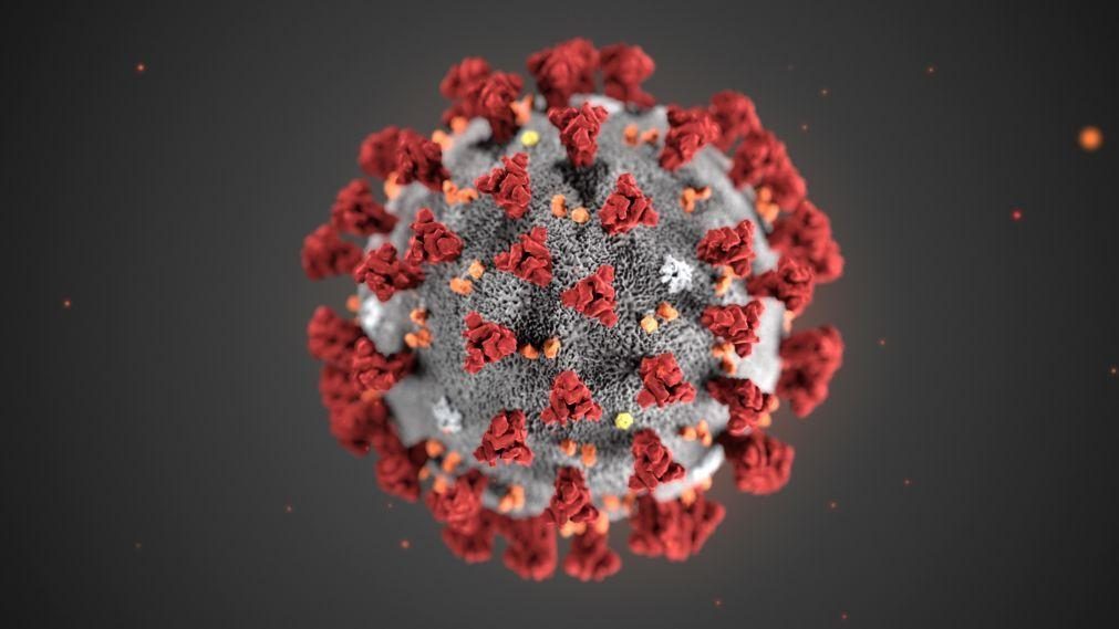 China atrasou partilha de mapa genético do vírus com a OMS
