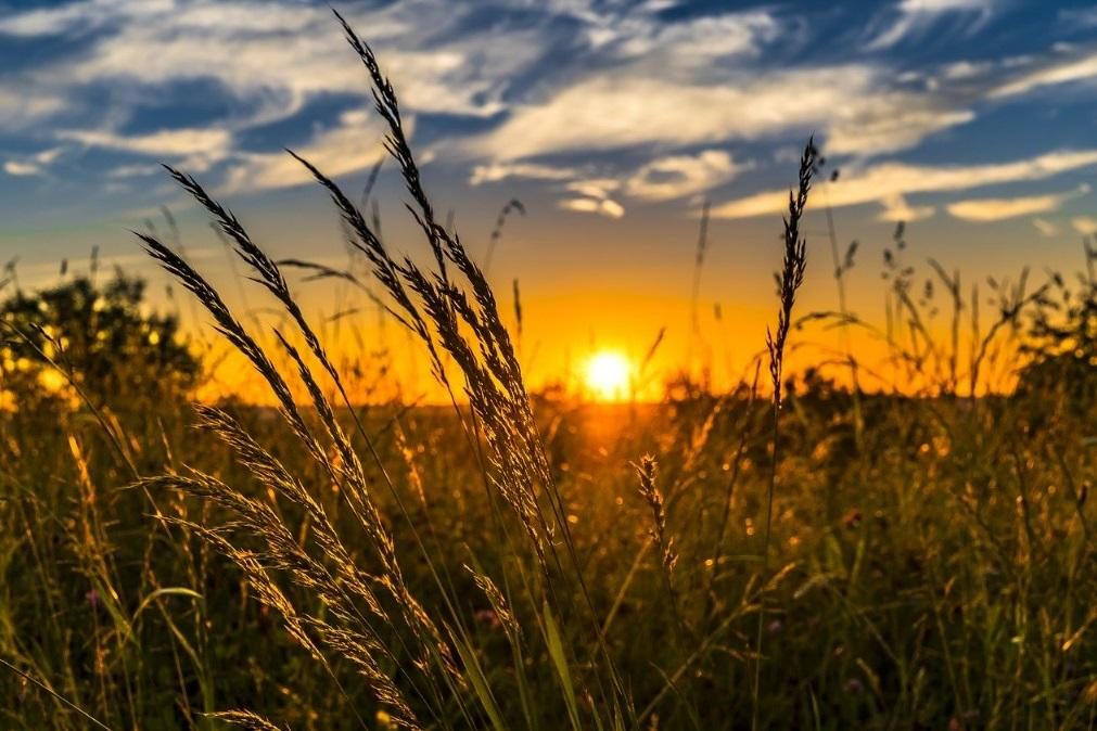 Meteorologia: Previsão do tempo para sexta-feira, 5 de junho