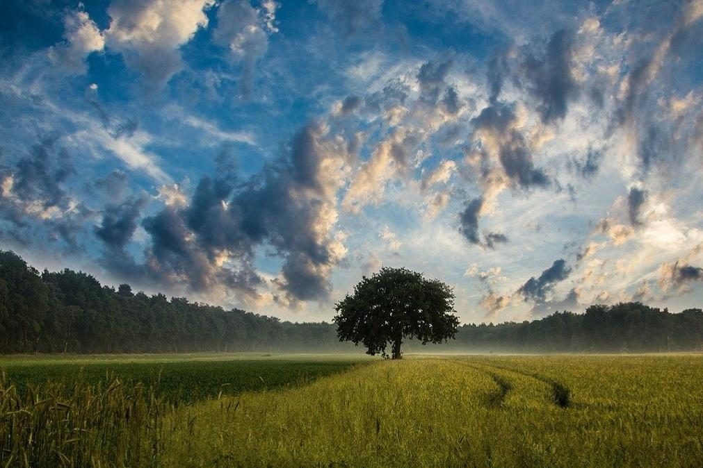 Meteorologia: Previsão do tempo para terça-feira, 16 de junho