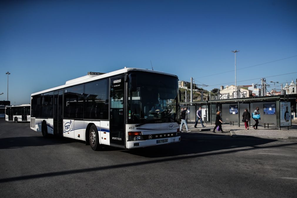 Vimeca e TST reforçam transportes na Área Metropolitana de Lisboa
