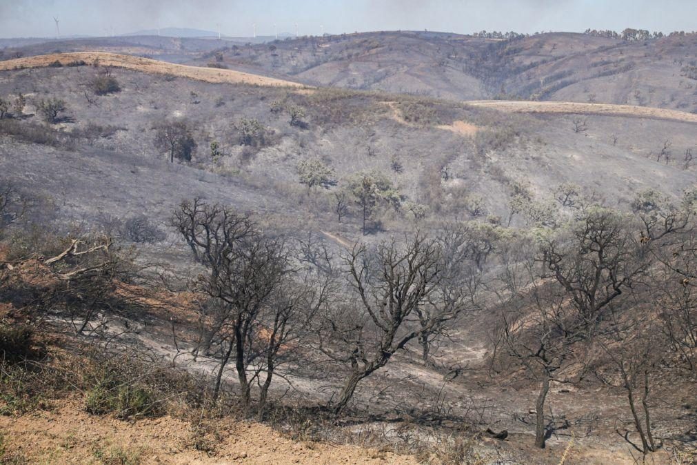 Quinze concelhos do continente com risco máximo de incêndio