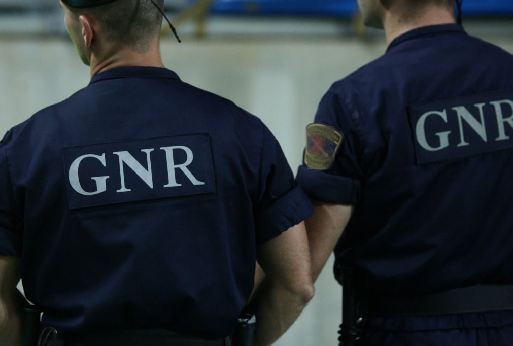 GNR põe termo a festa sexual com 23 pessoas em Valongo