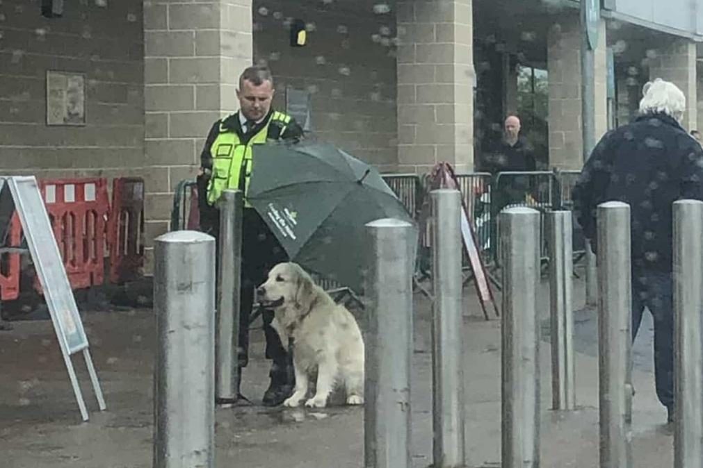 Segurança vira estrela na Internet ao proteger cão com chapéu de chuva