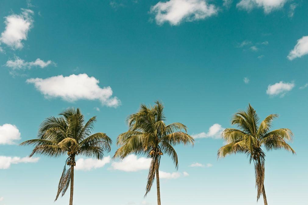 Meteorologia: Previsão do tempo para domingo, 18 de julho