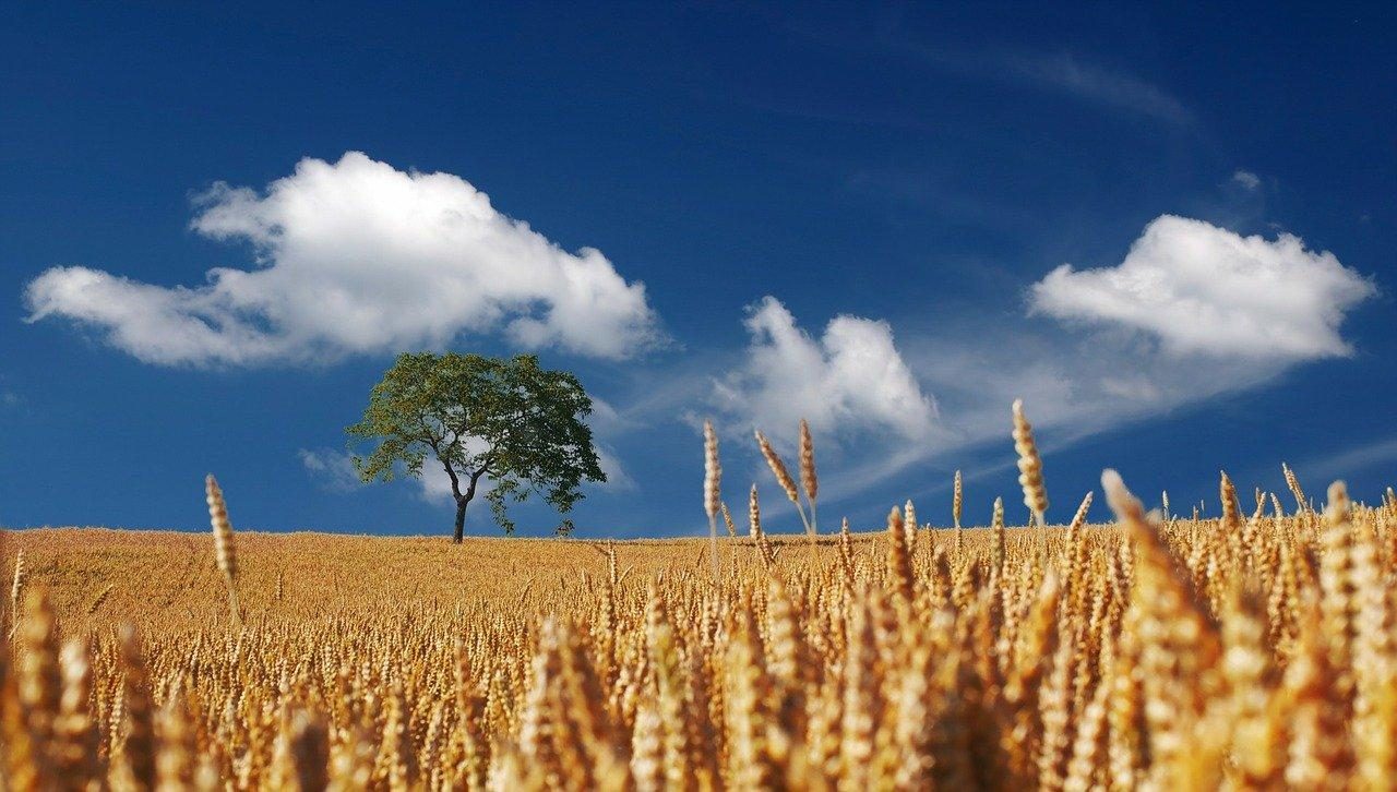 Meteorologia: Previsão do tempo para sexta-feira, 9 de outubro