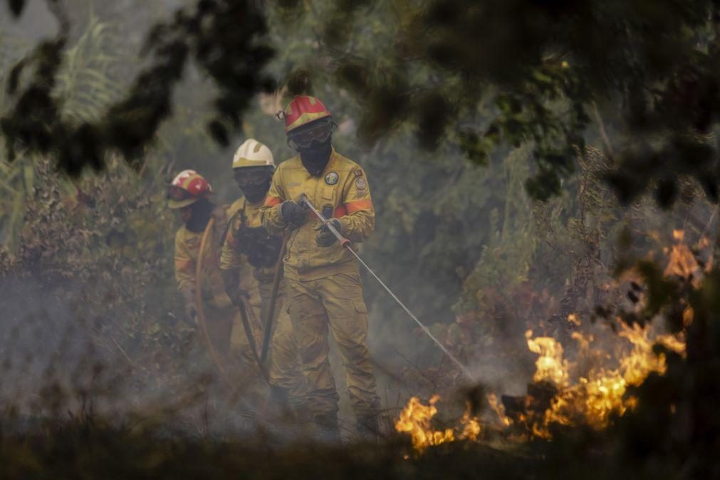 Mais de uma centena de concelhos de 14 distritos em risco máximo de incêndio