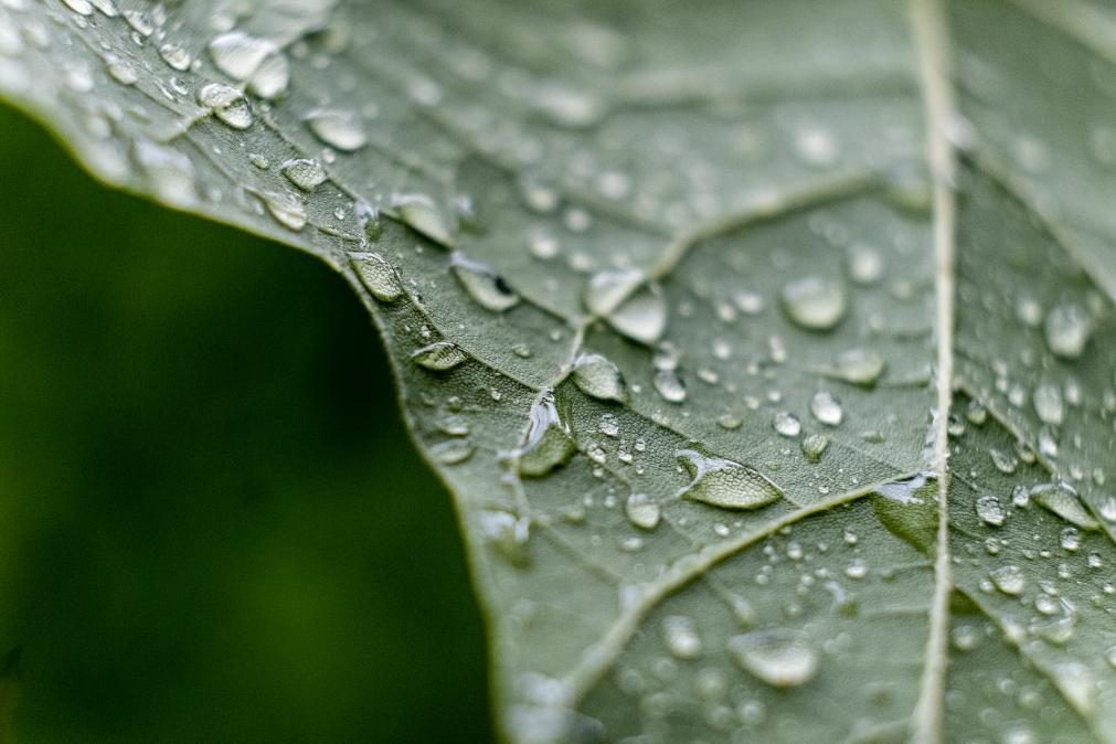 Meteorologia: Previsão do tempo para domingo, 19 de julho