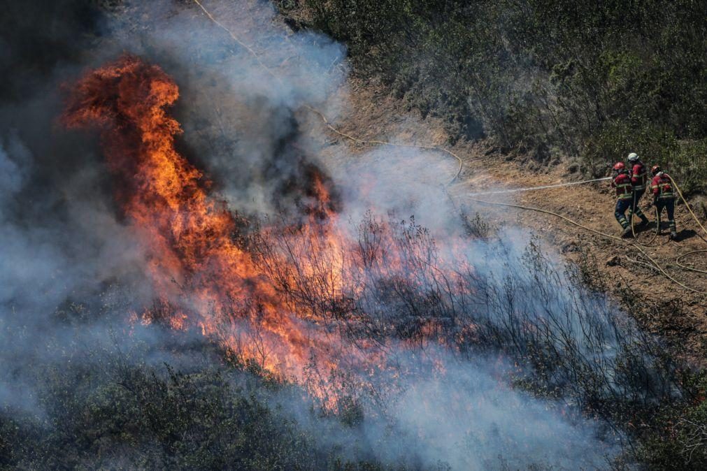 Incêndio lavra com intensidade em duas frentes em Elvas