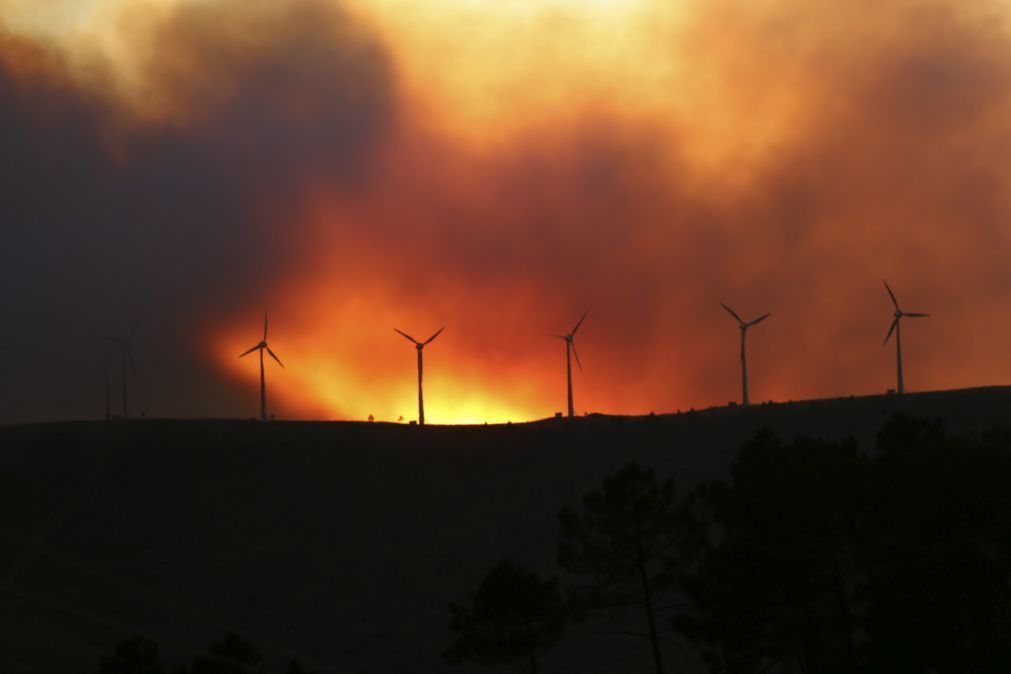 Incêndios: Morreu um dos 5 bombeiros feridos em despiste de viatura em Oleiros