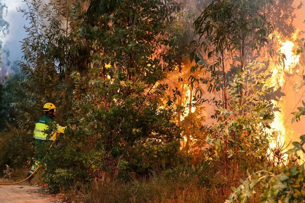 Mais de 50 concelhos em risco máximo de incêndio