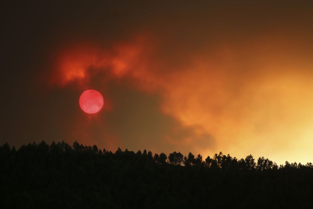 Risco máximo de incêndio em cerca de 50 concelhos do Norte, Centro e Algarve