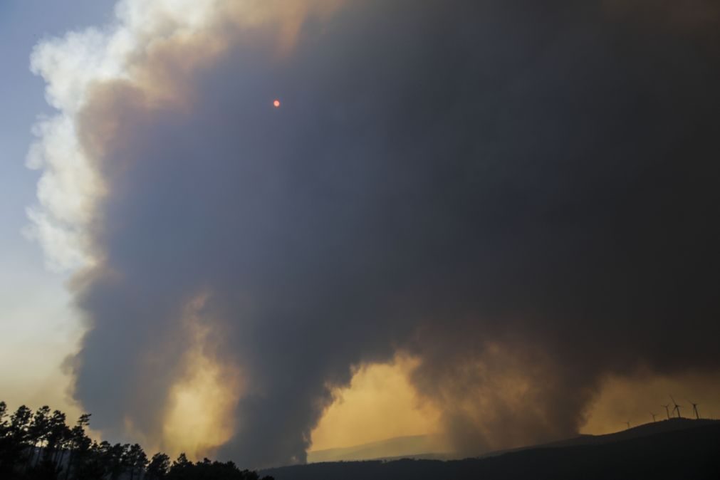 Mais de 60 concelhos em risco máximo de incêndio