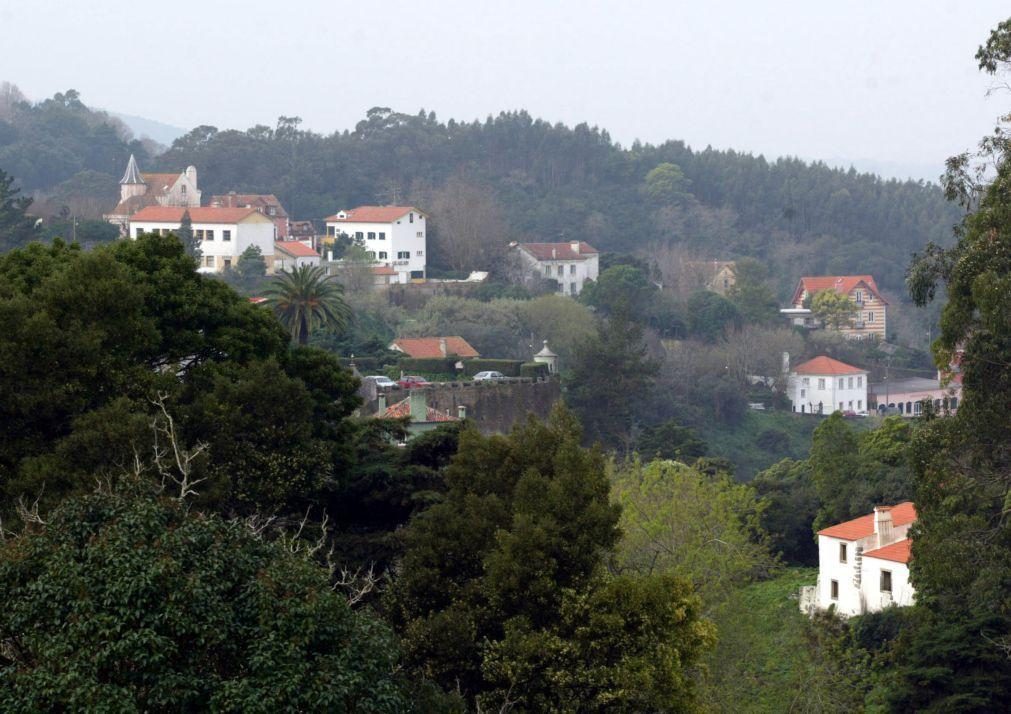 Trânsito condicionado na Serra de Sintra até terça-feira devido ao risco de incêndio