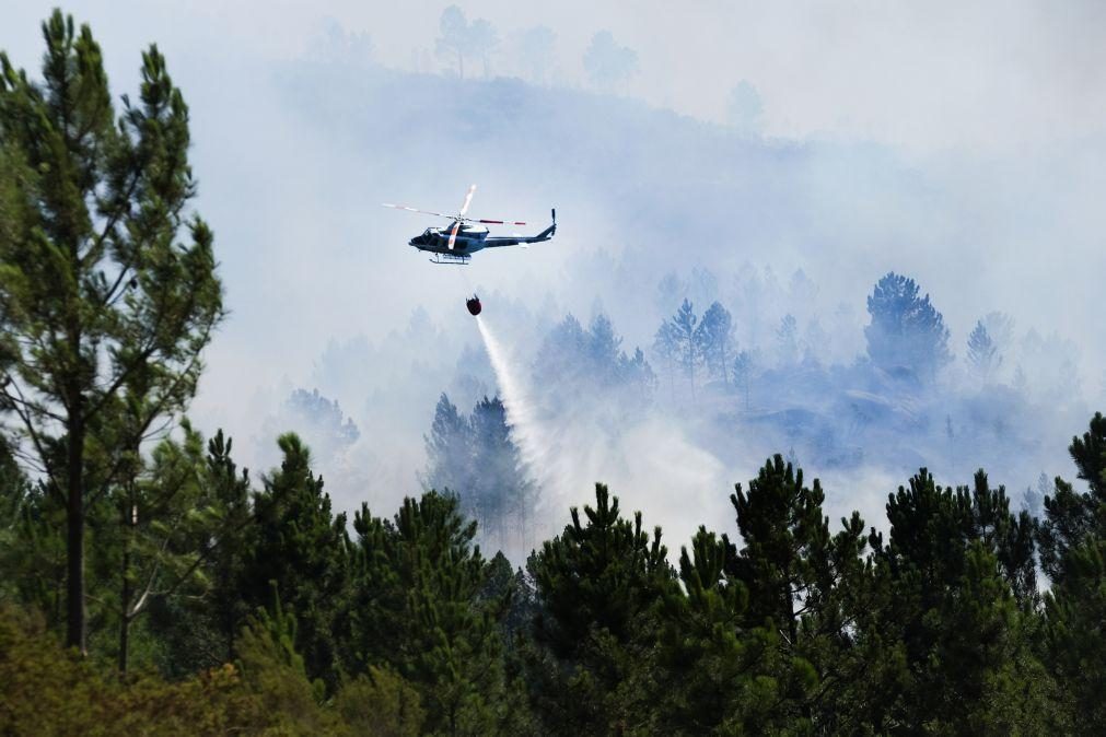 Fogo no Gerês ateado por mulher que queria «afastar a bicharada»