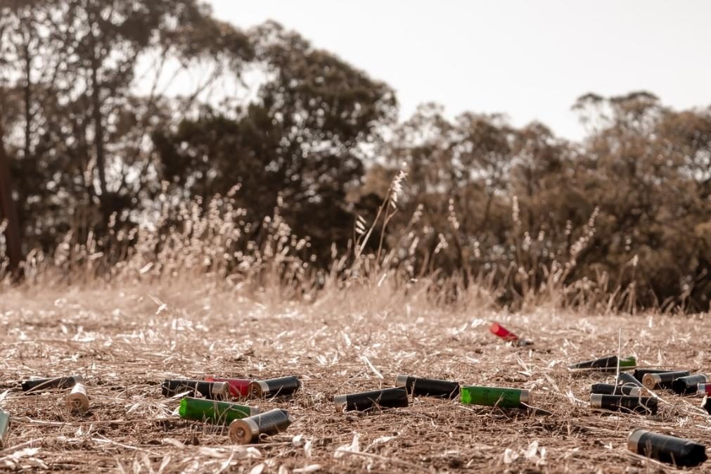 Idoso detido no Seixal por ameaçar vizinhos com arma ilegal