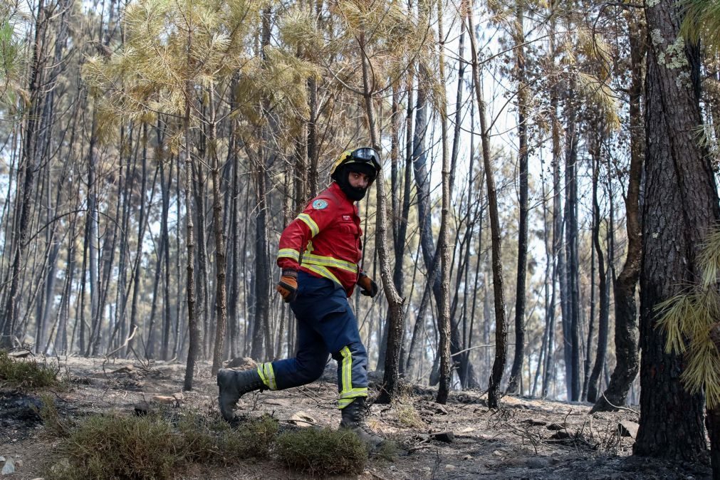 Bombeiro detido por suspeita de atear fogo em Alcobaça