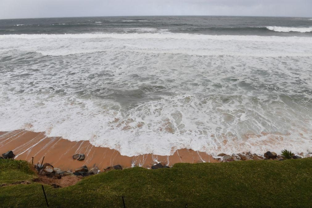 Mais de metade dos oceanos pode já estar afetada pelas alterações climáticas