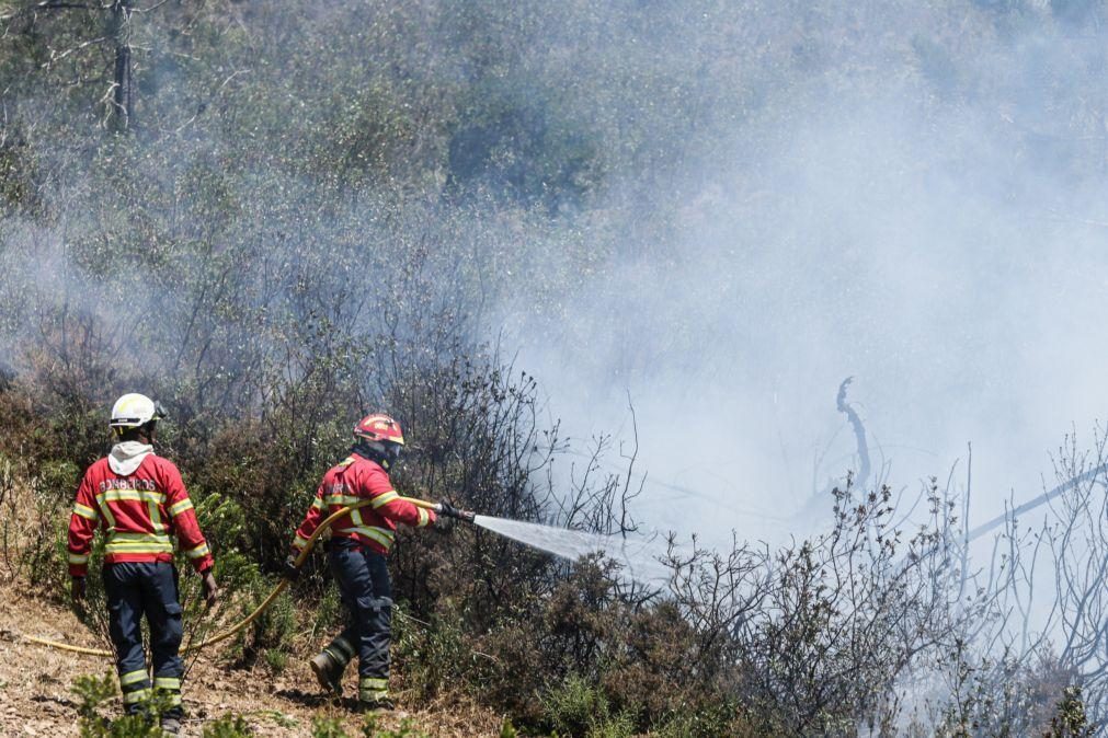 Três concelhos dos distritos da Guarda e Faro em risco máximo de incêndio
