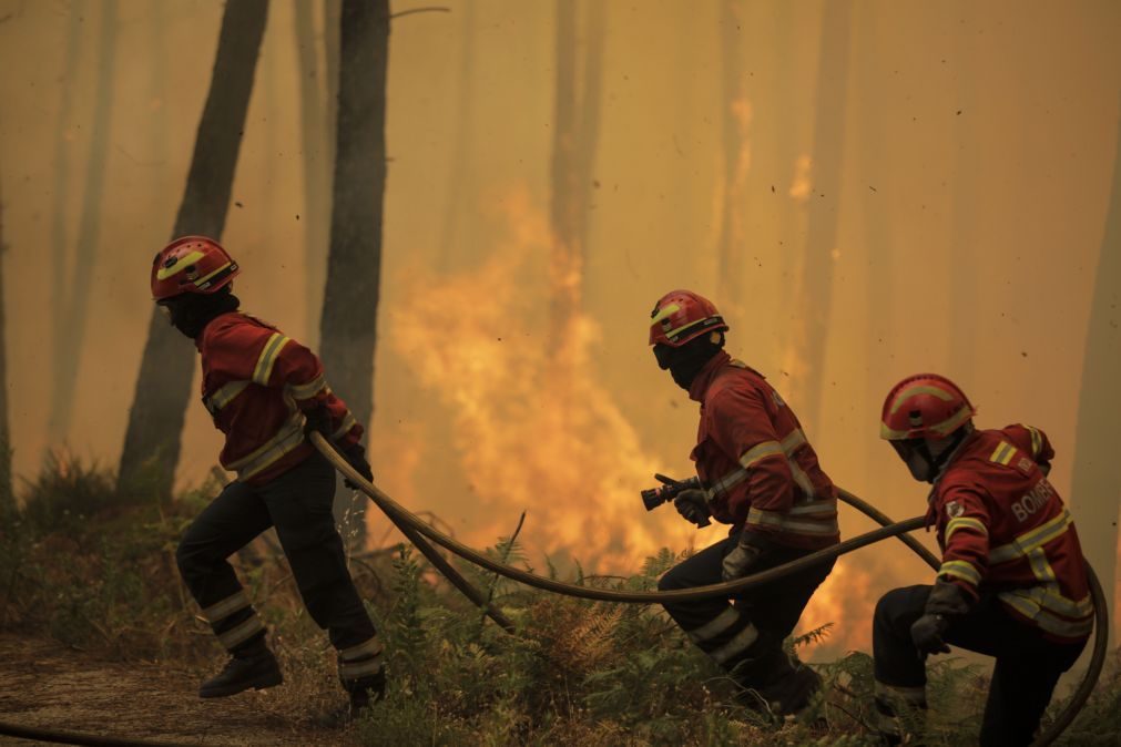 Incêndios: Estado de alerta em 14 distritos prolongado até sexta-feira