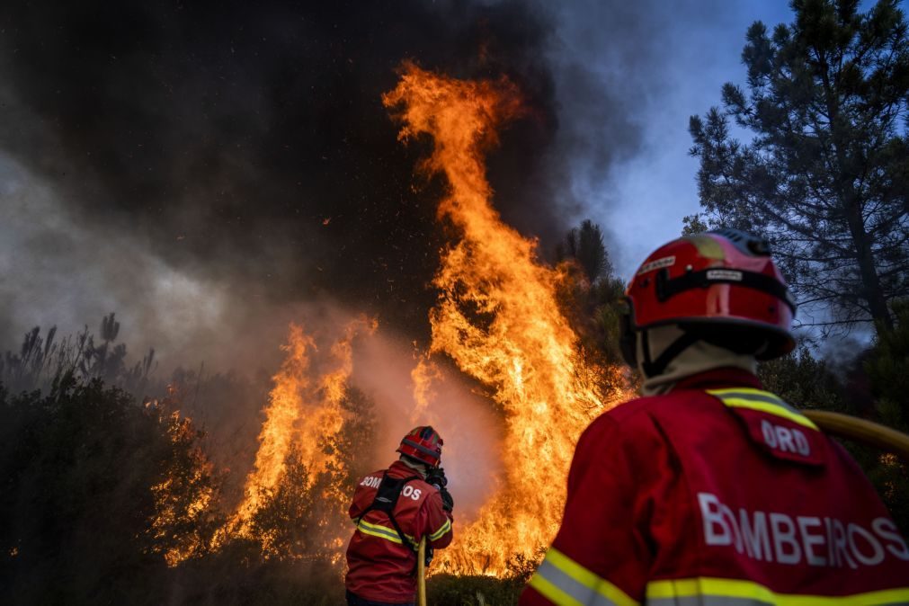 Bombeiro ferido em fogo em Caminha que mobiliza oito meios aéreos