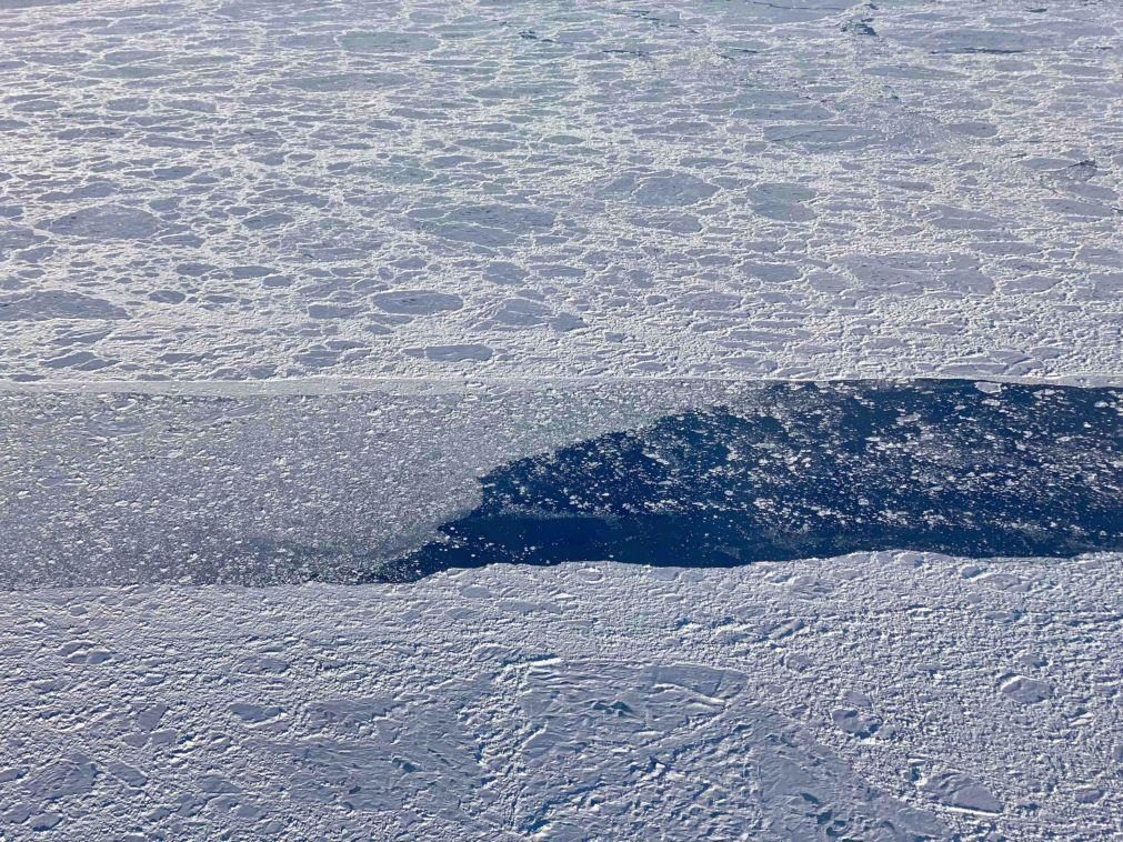 Gelo no Ártico atingiu o segundo nível mais baixo desde que há registo este Verão