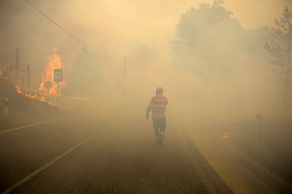 Dois concelhos do distrito de Faro em risco máximo de incêndio