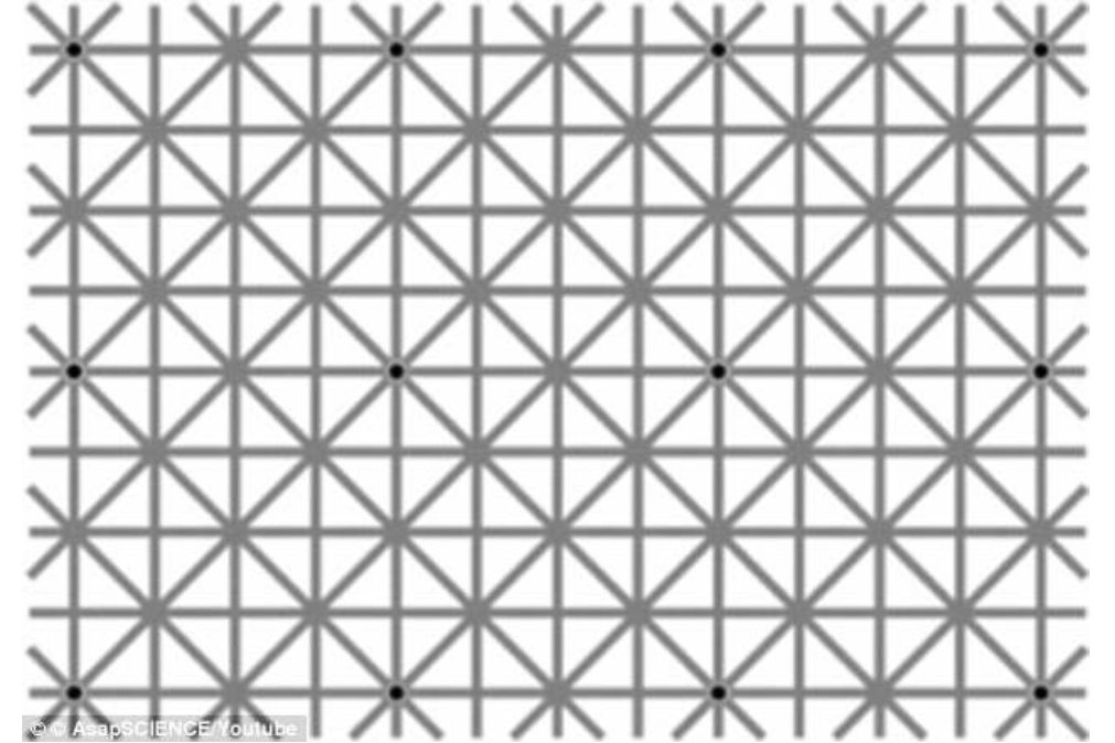 Viral! Quantos pontos pretos vê nesta imagem?