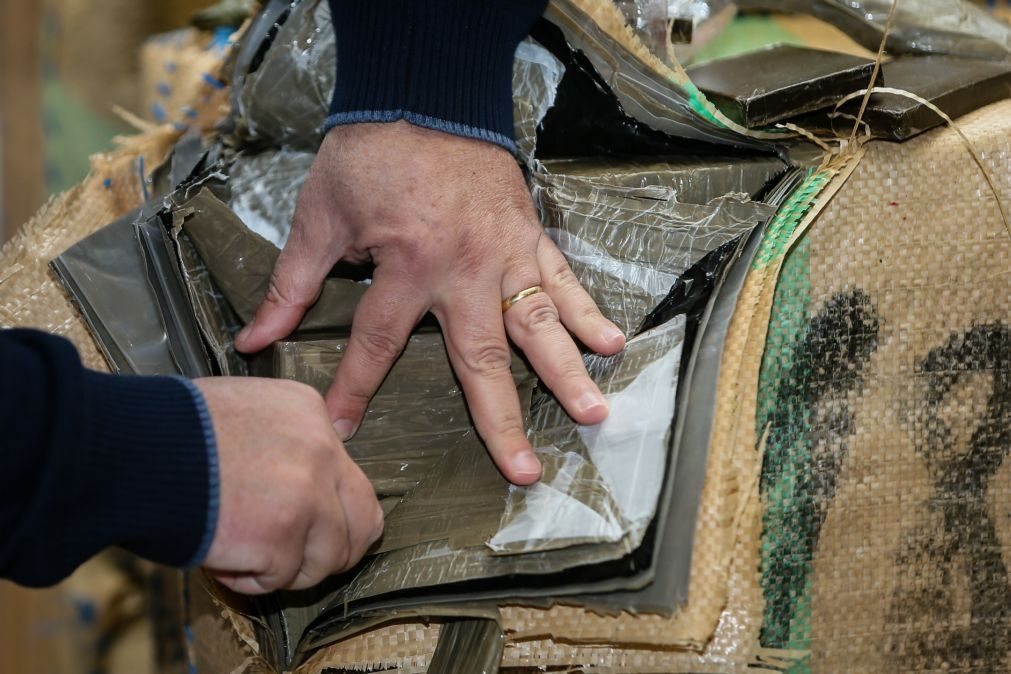 Espanha confisca 35 toneladas de haxixe escondidos em veleiros de luxo