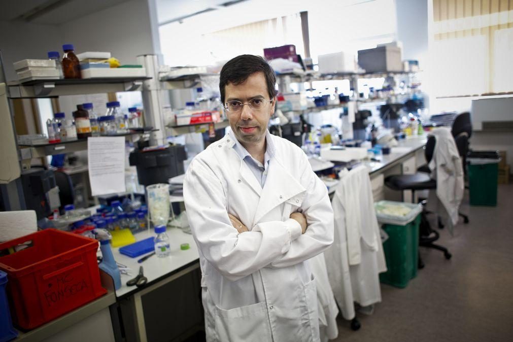 Cientistas portugueses descobrem potencial de proteção contra a sépsis em antibióticos